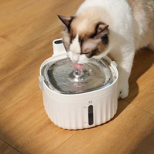 2L Battery Operated Cat/ Dog  Water Fountain,  Motion Sensor